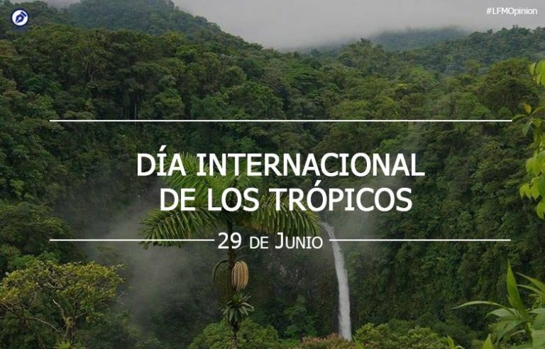 29 JUNIO