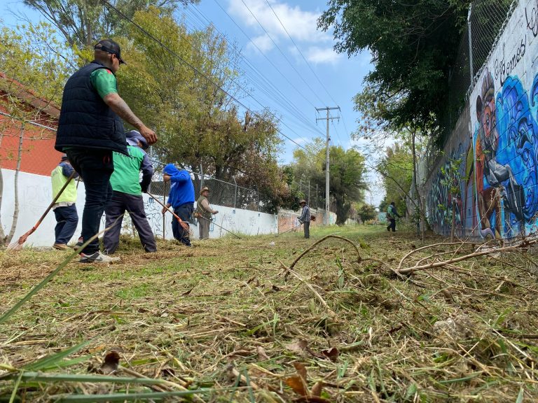 Realizan vecinos y Gobierno de Morelia jornada de limpieza en Los Pinos