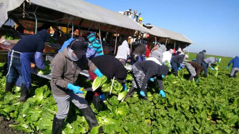 Presentan panorama de políticas migratorias y sus implicaciones para migrantes michoacanos