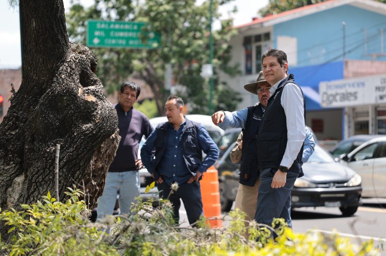 Gobierno de Morelia continúa construyendo espacios seguros con programa de Poda Sanitaria