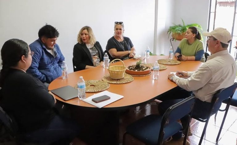 Estudiantes de Quiroga se sumarán al desarrollo urbano del municipio