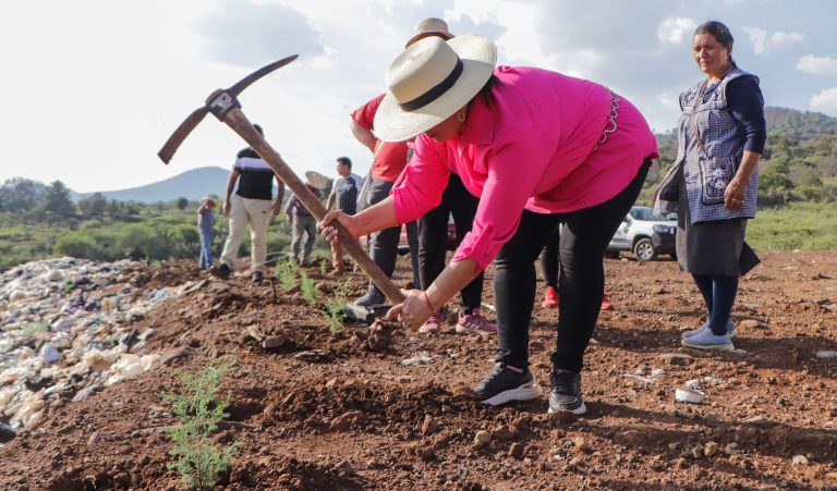 Reforesta Gobierno de Quiroga con 500 árboles en el Día Mundial del Medio Ambiente