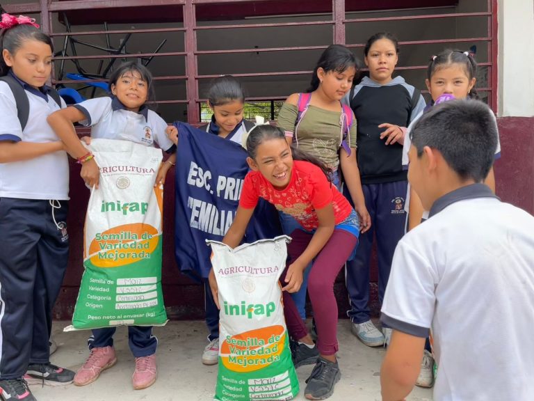 Fomentan agricultura escolar con entrega semilla de maíz mejorado