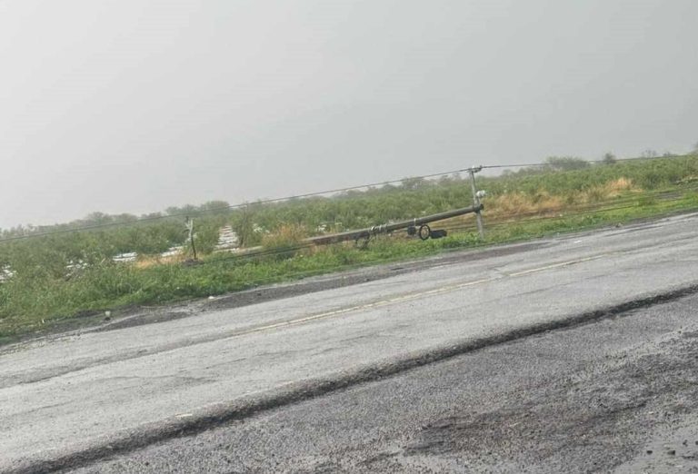 Un día entre postes caídos y árboles vencidos en Buenavista