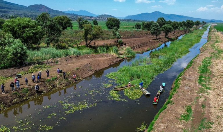 Lago de Pátzcuaro renace con 5 nuevos manantiales en Urandén