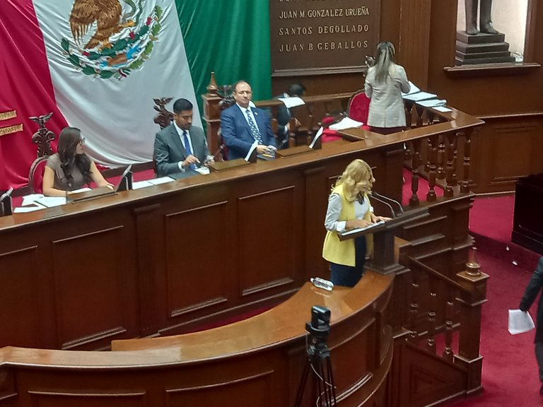 Diputados independientes deben tener la posibilidad de constituir su propio grupo parlamentario: Sandra Garibay