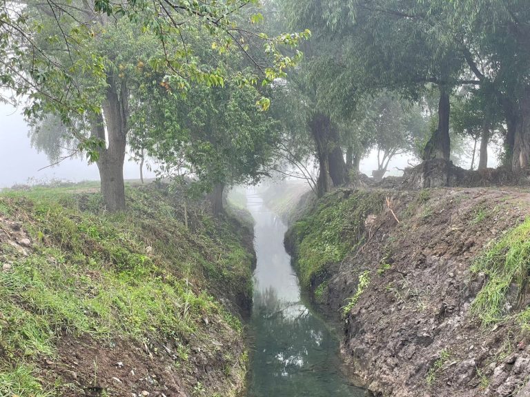 Rescate del canal de Tzentzénguaro revitaliza el lago de Pátzcuaro, asegura Compesca
