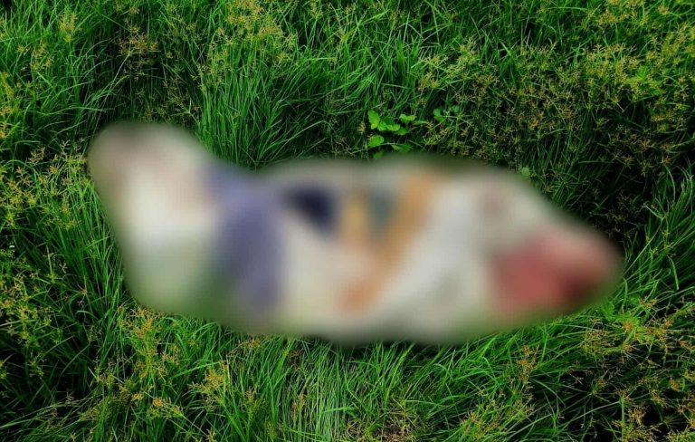 Dejan cadáver ensabanado a un costado de la carretera Apatzingán–Cuatro Caminos