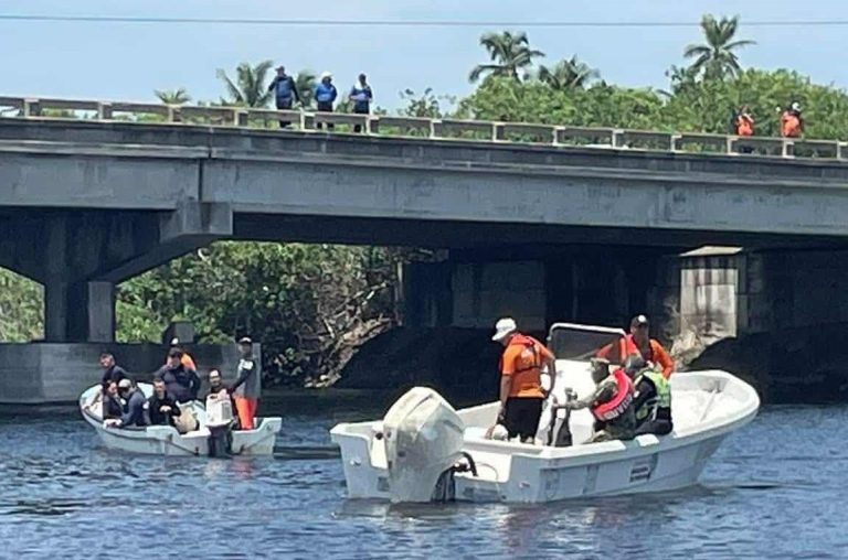 Se evitará que puente de Barra de Santa Ana en LC sea zona de avistamiento de fauna silvestre
