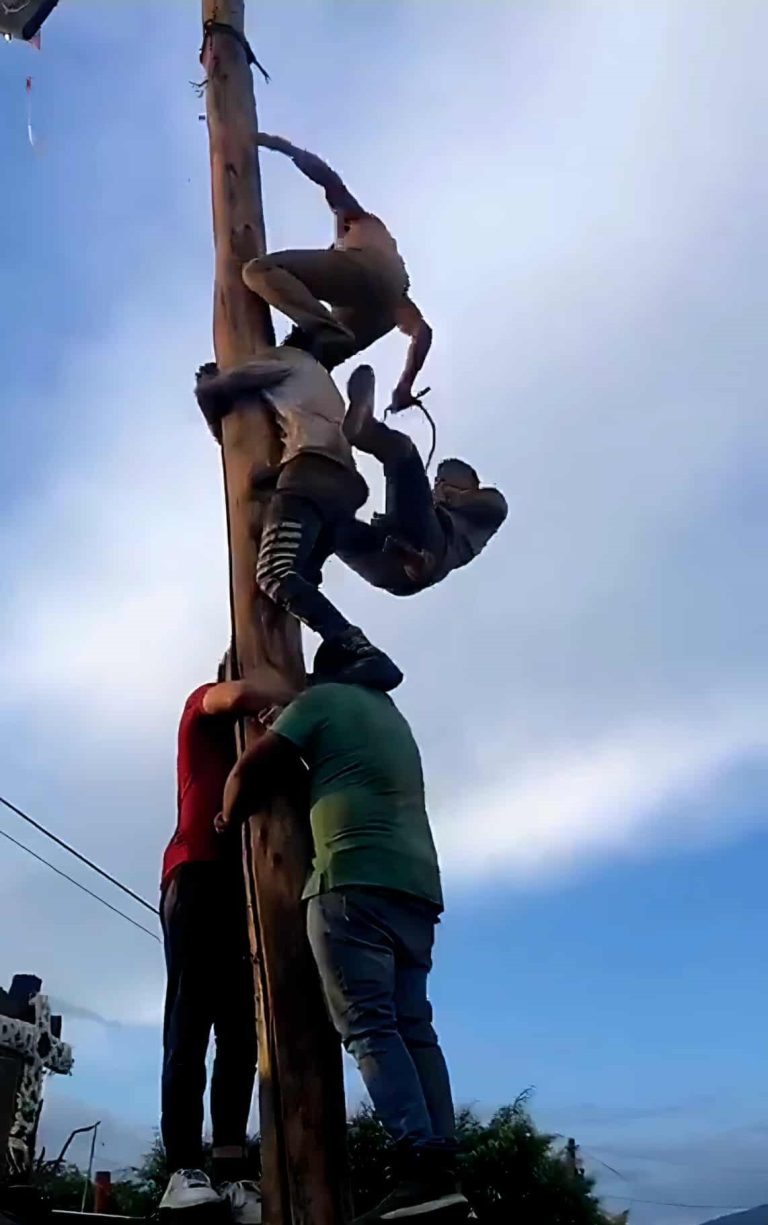 Graves, dos jóvenes que cayeron del «palo encebado», en Uruapan