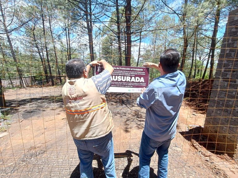 Morelia, el municipio con más quejas ambientales