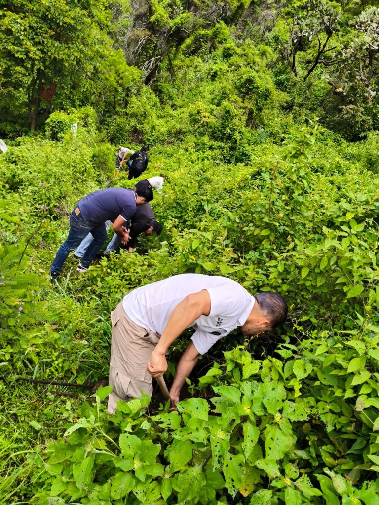 Realiza FGE jornada de reforestación en zona natural protegida en Morelia
