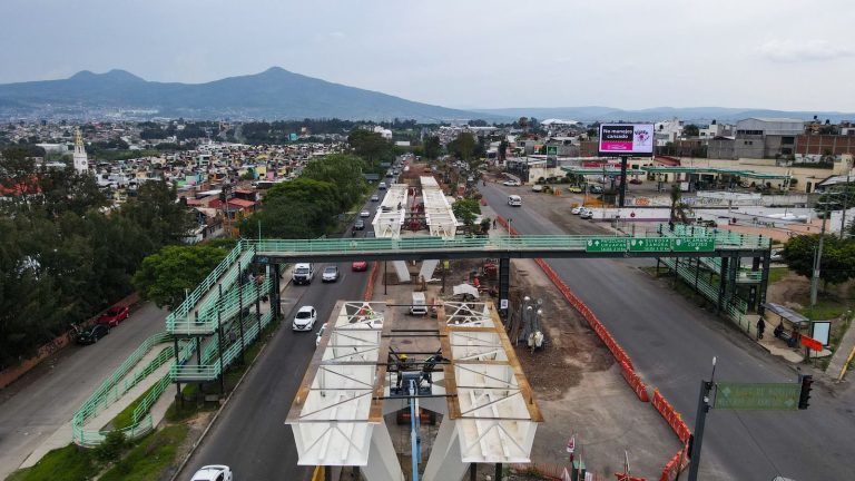 Con casi 7 mil árboles gobierno de Michoacán compensa obras viales de Morelia 