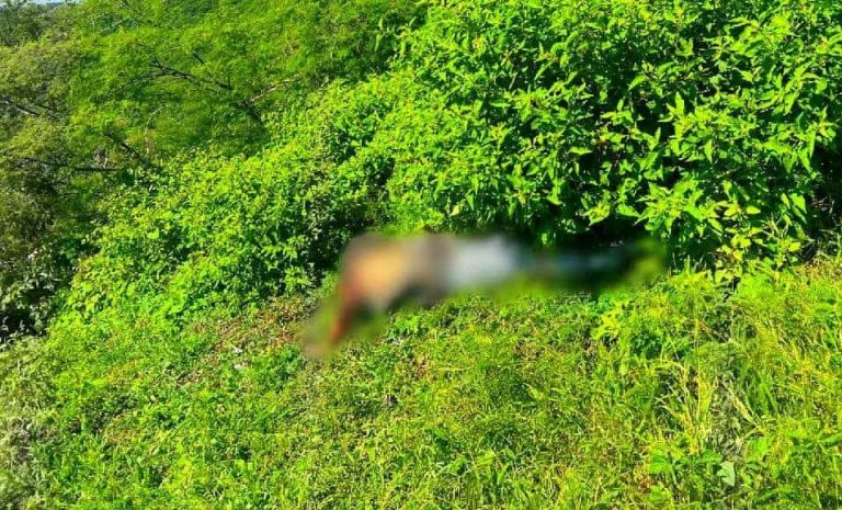 Localizan a hombre asesinado en paraje del municipio de Carácuaro