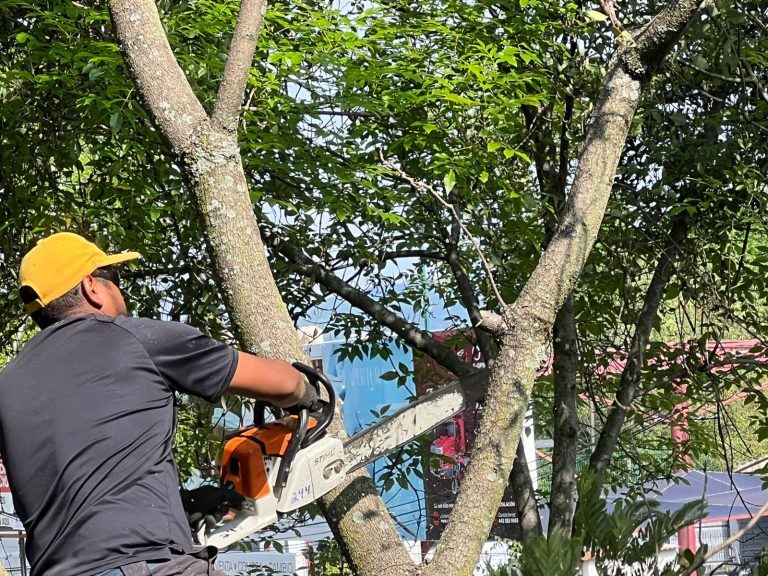 Realizan jornada de limpieza en avenida Fray Antonio de San Miguel