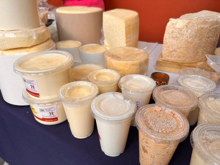 SSM advierte sobre el riesgo de consumir quesos frescos, cremas y lácteos que no estén pasteurizados