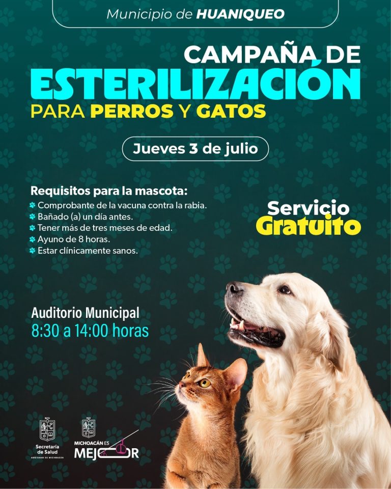 Se realizarán jornadas gratuitas de esterilización animal en Tarícuaro y Huaniqueo