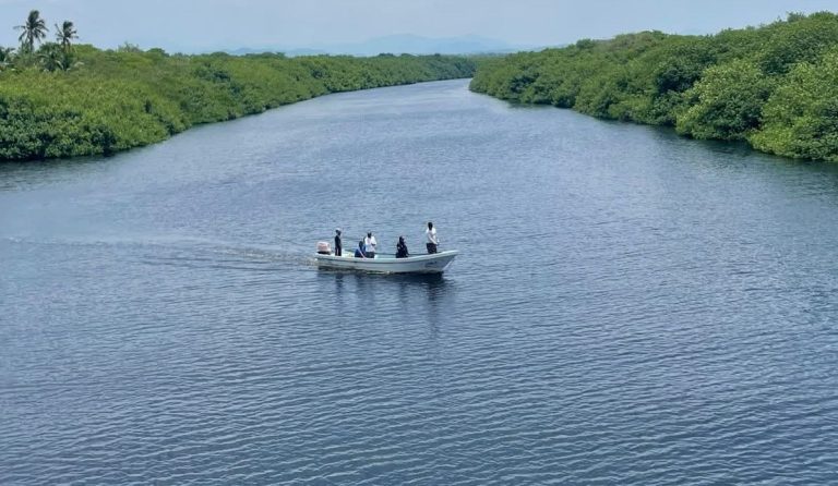 Concluye operativo de búsqueda, sin rastros del menor que cayó al hábitat de cocodrilos