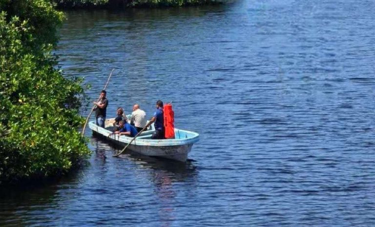 Adolescente muere tras caer a canal y ser atacado por cocodrilos en Lázaro Cárdenas