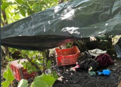 Localizan y destruyen punto de “halconeo”, en Parácuaro