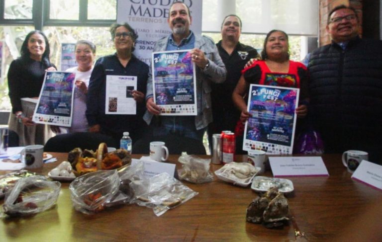 Viene el Fungifest este fin de semana, evento de divulgación científica e impulso económico de los hongos