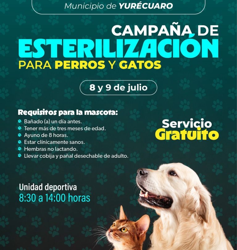 Campaña de esterilización animal gratuita en Yurécuaro y Morelia