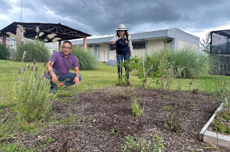 Pone en marcha UMSNH proyecto de «Jardín para polinizadores», busca abonar en el cuidado del medio ambiente