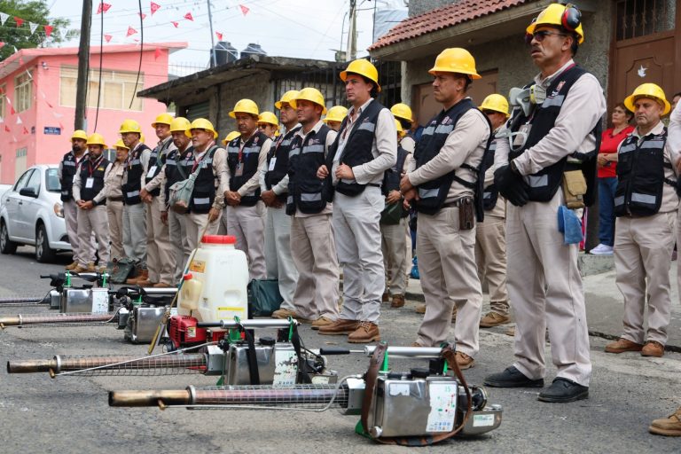 En lo que va del 2025, en Michoacán se han registrado 550 casos de dengue