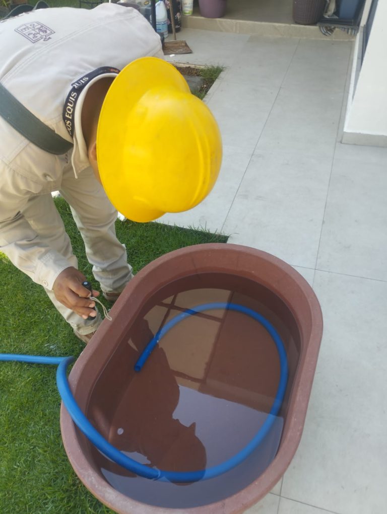 SSM te dice cómo identificar los síntomas del dengue para recibir atención oportuna