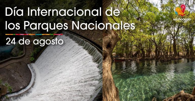 Descubre la riqueza natural que guardan los parques nacionales michoacanos: Sectur