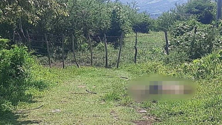 Sujeto es hallado torturado y asesinado en el municipio de Turicato