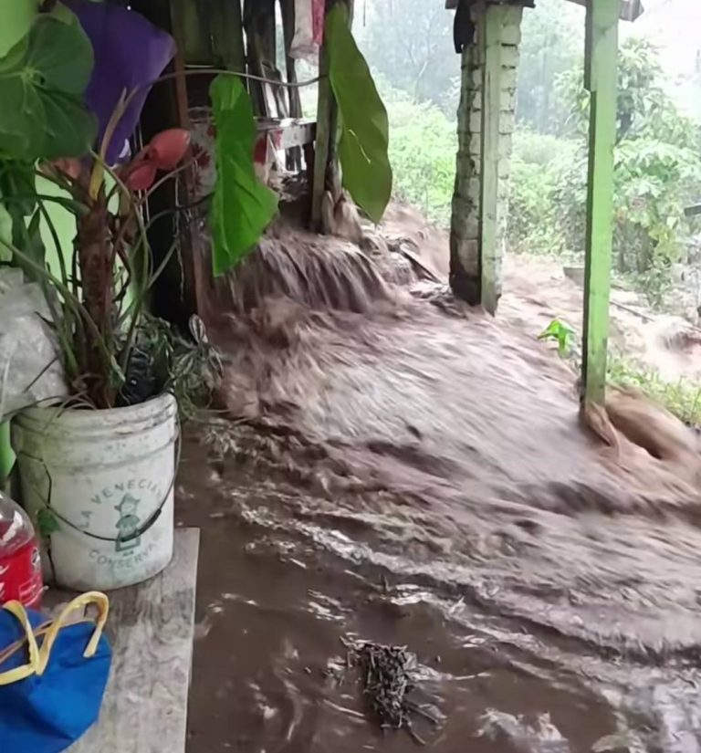 Desborde del río Puerco deja severas afectaciones en Tuxpan