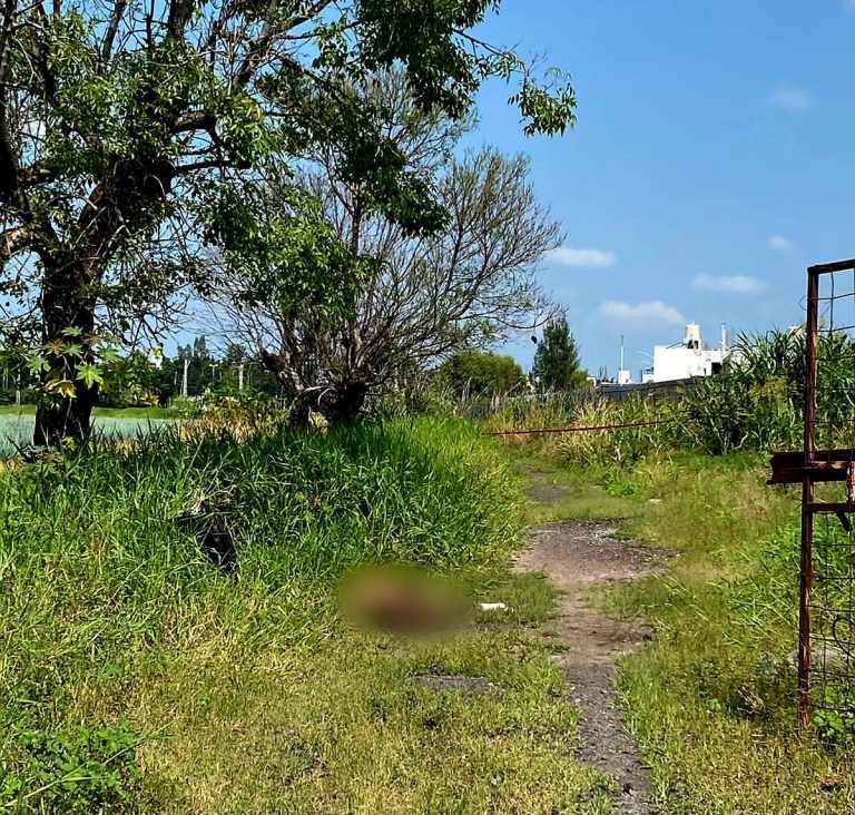 Hallan cuerpo con huellas de violencia en un predio de Zamora