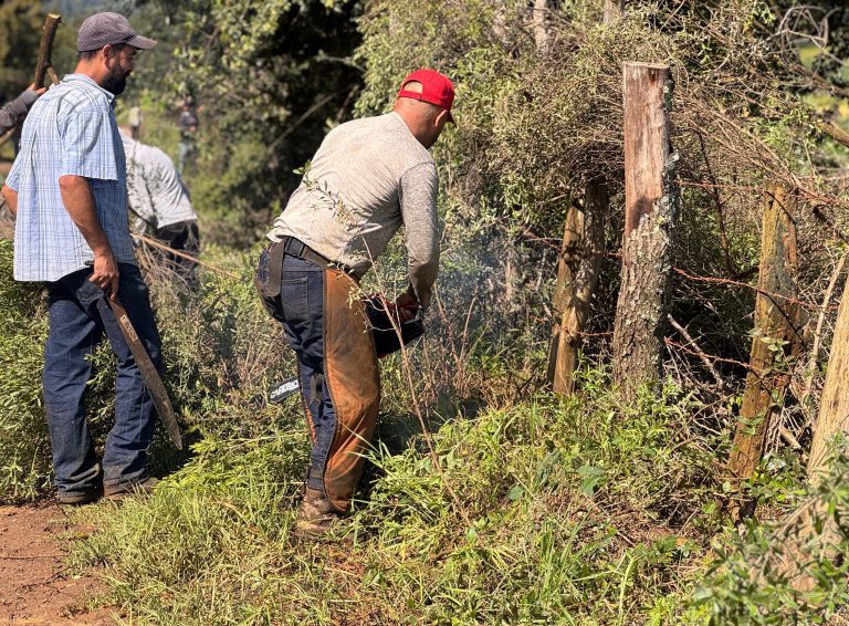 Gobierno de Morelia fortalece la conexión rural con acciones integrales en Loma Caliente