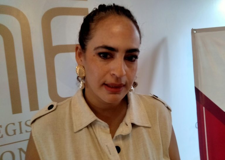 Bancada del Verde urge a Congreso dictaminar y endurecer castigos por maltrato animal