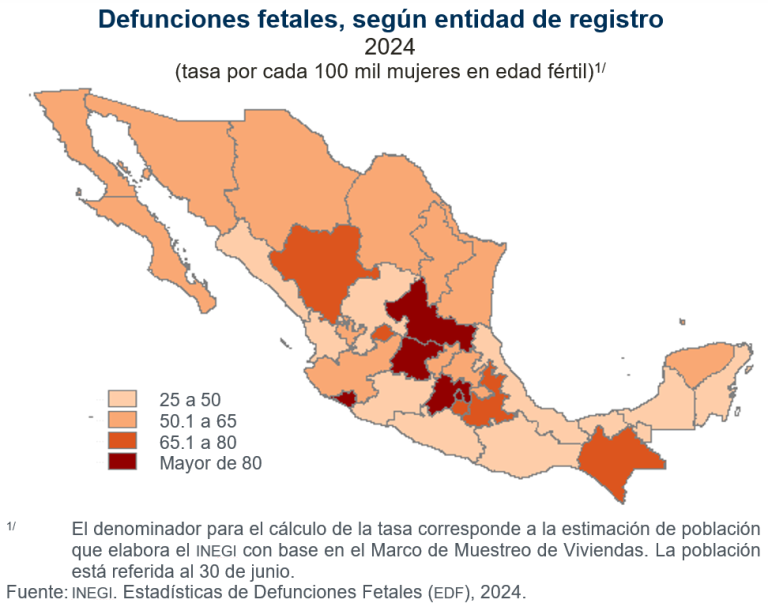 Se registraron 22 mil 031 muertes fetales, en 2024