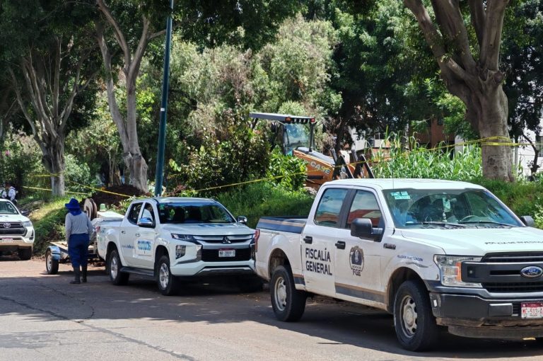 Empleados del Ooapas hallan parte de cráneo humano a la orilla de la avenida Solidaridad