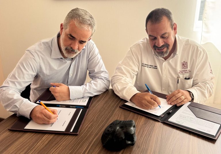 Con nueva alianza, impulsan restauración forestal y legalidad ambiental en Michoacán