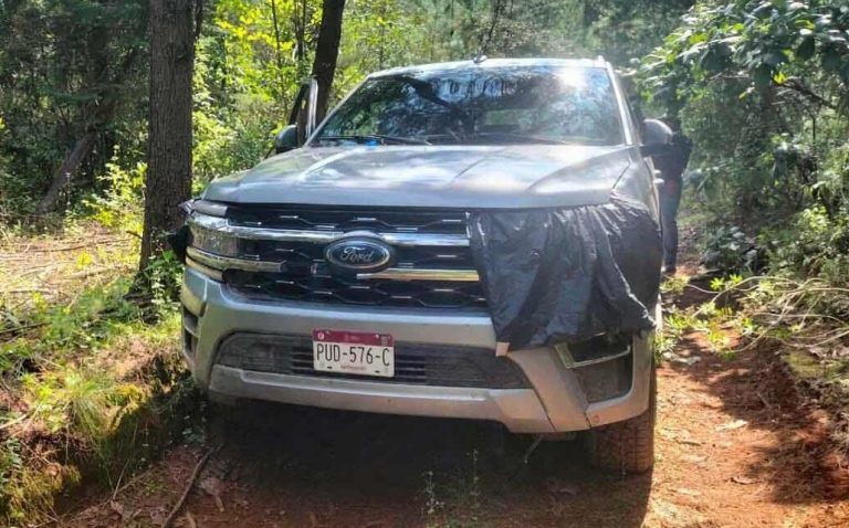 Destruyen seis narcocampamentos en zona serrana de Salvador Escalante; hay 2 camionetas aseguradas