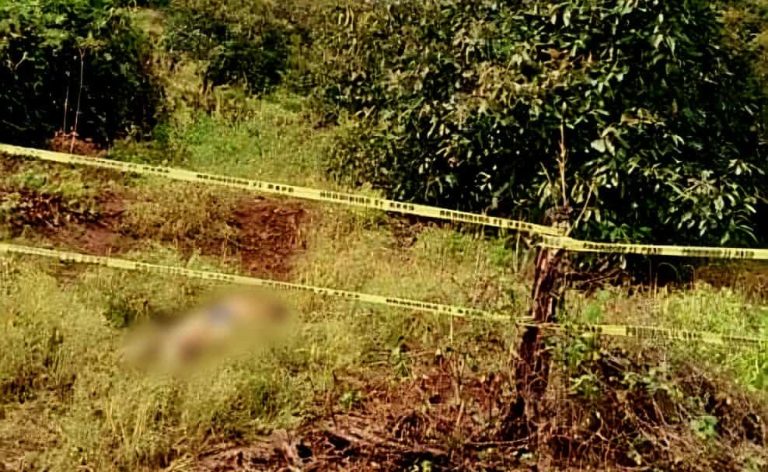 Encuentran cadáver degollado en huerta de Ario de Rosales