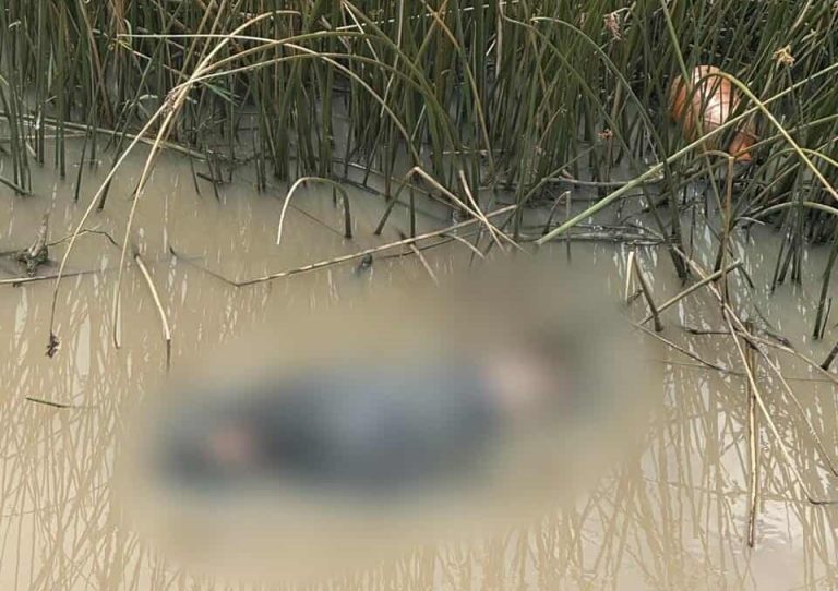 Hallan a hombre ejecutado en los límites de Michoacán con Querétaro