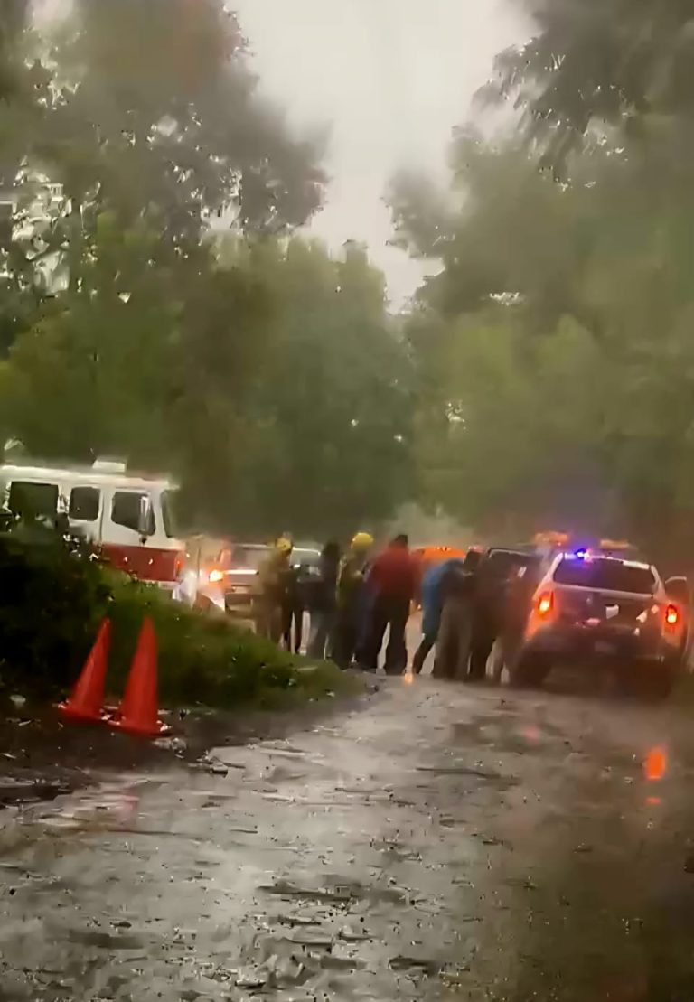 Ocho trabajadoras del campo heridas al caerles un rayo, cuando se refugiaban de la lluvia debajo de un árbol