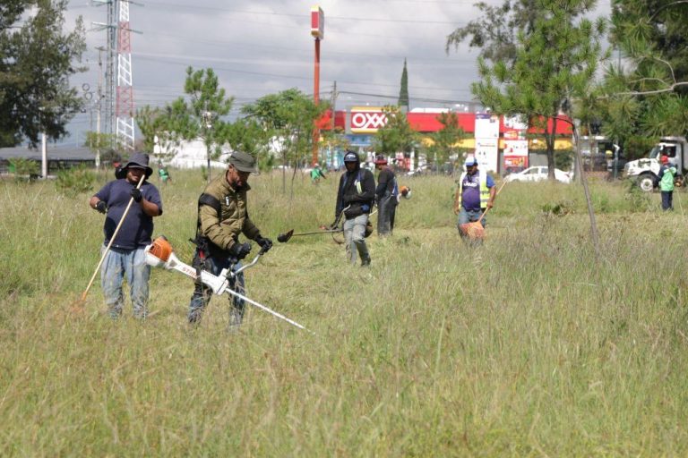 Encabeza Alfonso Martínez Jornada Integral #500 de limpieza y mantenimiento