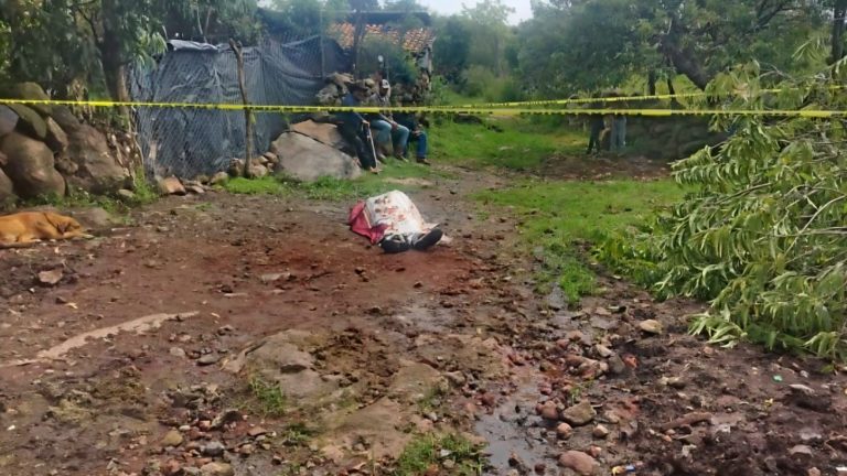 Fallece hombre tras caer de un árbol en Puruándiro