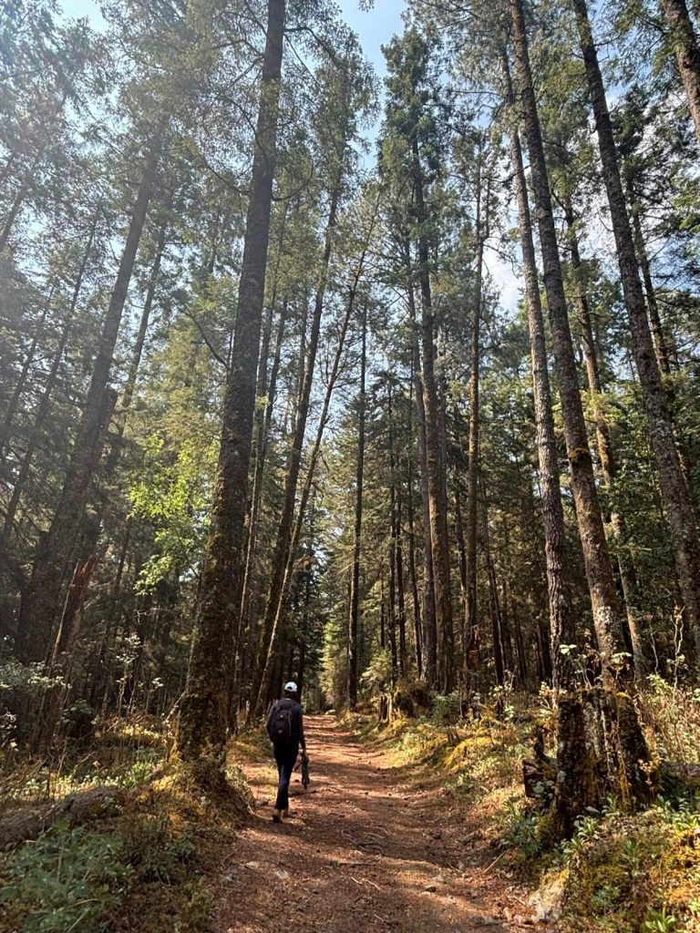 Inicia la cuarta edición del Festival de Aves en Michoacán