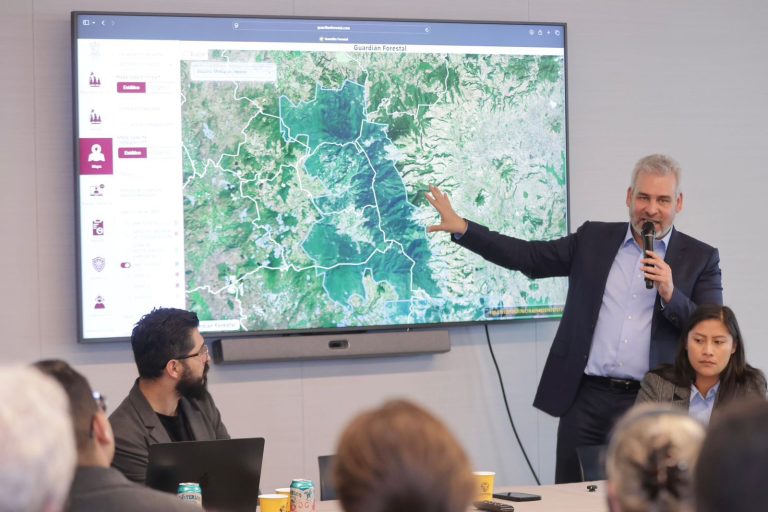 Guardián Forestal, el mejor sistema de vigilancia satelital para la defensa del bosque: Climate Rights International