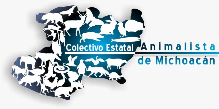 Medio centenar de organizaciones delinearán la agenda de protección animal en primer foro estatal