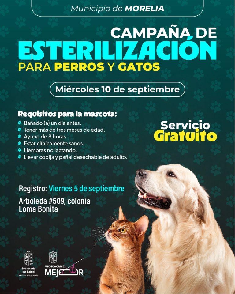 SSM ofrece jornada de esterilización gratuita de perros y gatos en Morelia