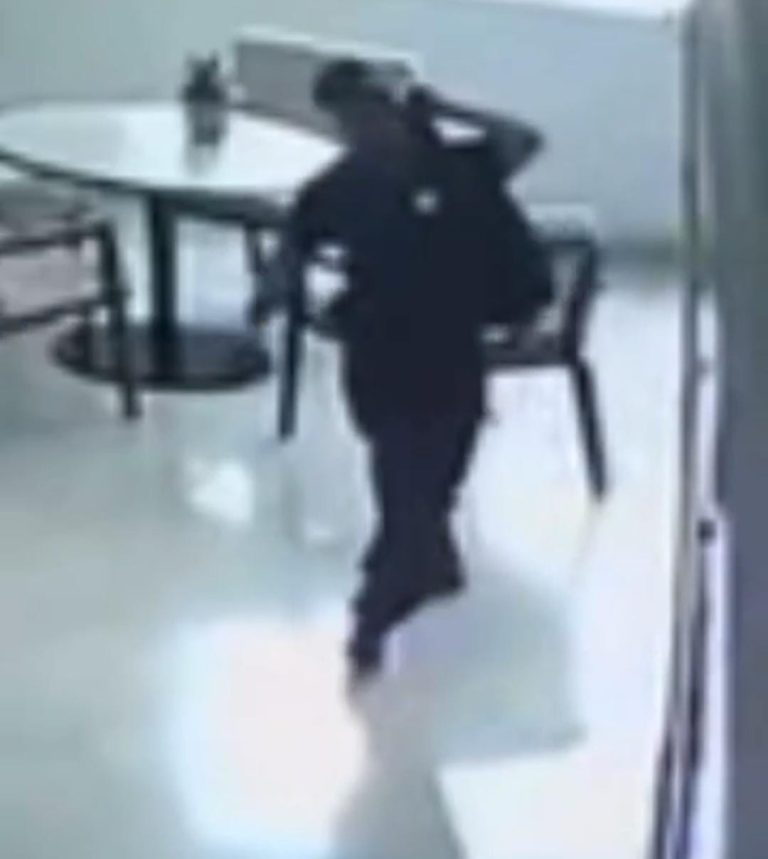 Animalistas acusan a Guardia Civil de robo en foro estatal en Uruapan