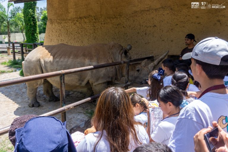 Zoológico de Morelia ofrece una aventura educativa este viernes